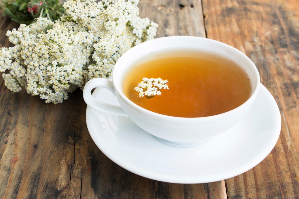 Yarrow Tea, Achillea Millefolium